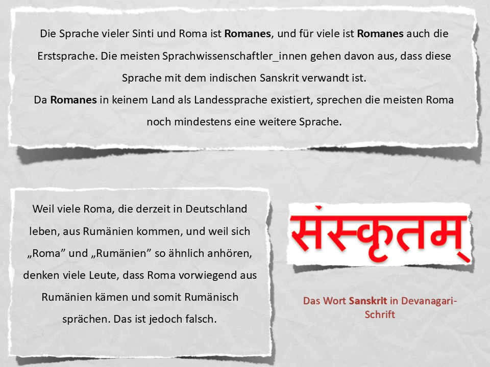 Die Sprache vieler Sinti und Roma ist Romanes, und für viele ist Romanes auch die Erstsprache. Die meisten Sprachwissenschaftler_innen gehen davon aus, dass diese Sprache mit dem indischen Sanskrit verwandt ist. Da Romanes in keinem Land als Landessprache existiert, sprechen die meisten Roma noch mindestens eine weitere Sprache. Weil viele Roma, die derzeit in Deutschland leben, aus Rumänien kommen, und weil sich „Roma” und „Rumänien” so ähnlich anhören, denken viele Leute, dass Roma vorwiegend aus Rumänien kämen und somit Rumänisch sprächen. Das ist jedoch falsch.